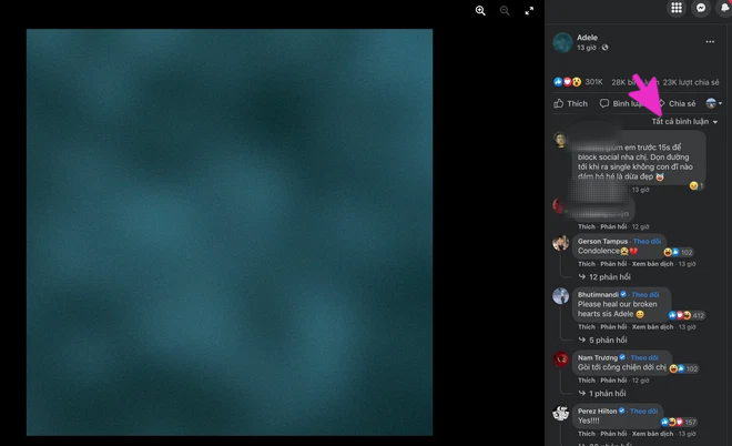 Fanpage 68 triệu người theo dõi của Adele bị netizen Việt ồ ạt tấn công, vì sao lại thế? - Ảnh 6.