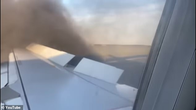 Clip: Động cơ máy bay cháy dữ dội do đâm phải chim - Ảnh 2.
