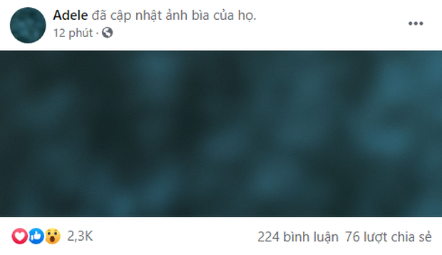 Fanpage 68 triệu người theo dõi của Adele bị netizen Việt ồ ạt tấn công, vì sao lại thế? - Ảnh 3. Fanpage 68 triệu người theo dõi của Adele bị netizen Việt ồ ạt tấn công, vì sao lại thế? - Ảnh 3.
