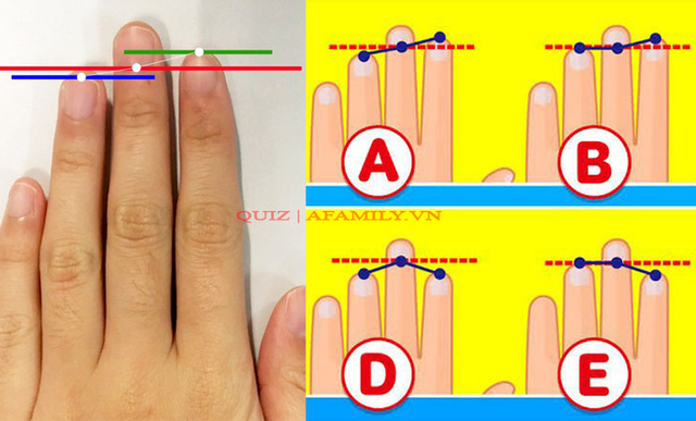 Bài kiểm tra tư duy hot nhất Nhật Bản: Chỉ cần dựa vào chiều dài của 3 ngón tay là có thể biết được bạn là người như thế nào? - Ảnh 2.