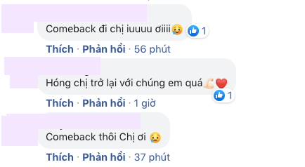Fanpage Hương Giang đổi ảnh đại diện khiến netizen nhao nhao đòi comeback, đại diện lên tiếng làm rõ - Ảnh 3.