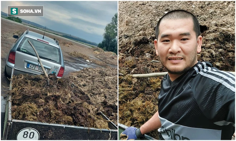 Chủ vườn rau Việt quý hơn vàng ở Czech: Ngày là doanh nhân, tối nhặt phân bò - Ảnh 3.