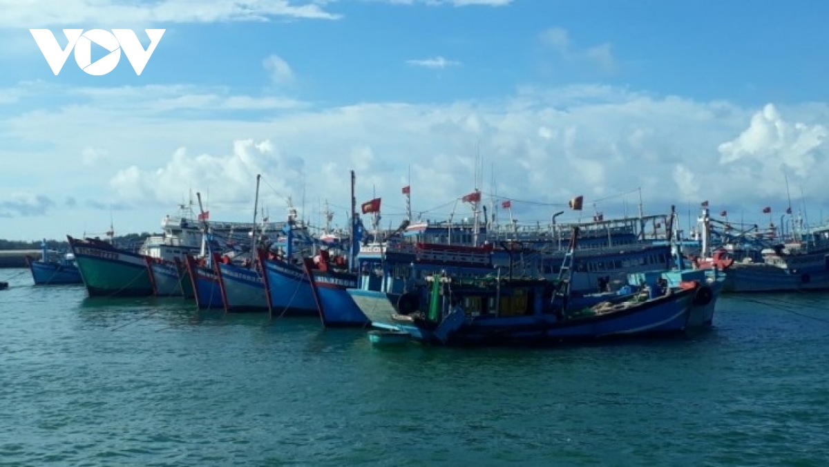 Tạm dừng hoạt động các tàu khách tuyến Phan Thiết - Phú Quý - Ảnh 1.