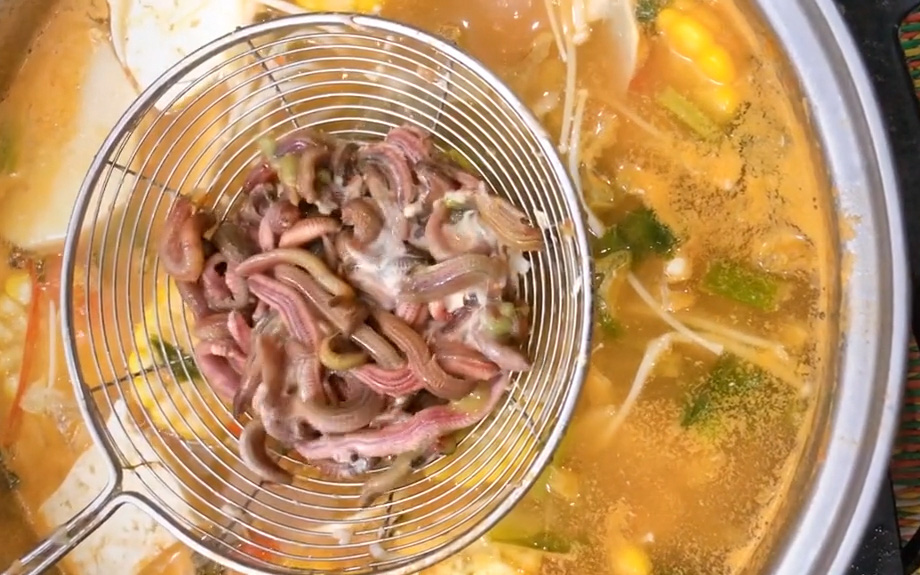 Việt Nam có 1 món ăn bị nhiều người coi là giun, giòi nhưng lại là đặc sản nổi tiếng, có tiền cũng chưa chắc mua được