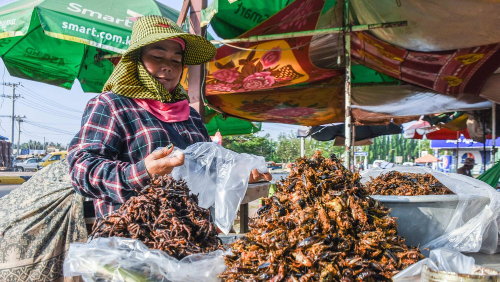 A-Ping - đặc sản trứ danh của Campuchia khiến nhiều du khách vừa nhìn liền muốn bỏ chạy - Ảnh 2. A-Ping - đặc sản trứ danh của Campuchia khiến nhiều du khách vừa nhìn liền muốn bỏ chạy - Ảnh 2.