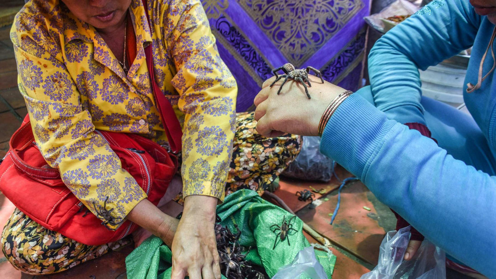 A-Ping - đặc sản trứ danh của Campuchia khiến nhiều du khách vừa nhìn liền muốn bỏ chạy - Ảnh 4. A-Ping - đặc sản trứ danh của Campuchia khiến nhiều du khách vừa nhìn liền muốn bỏ chạy - Ảnh 4.