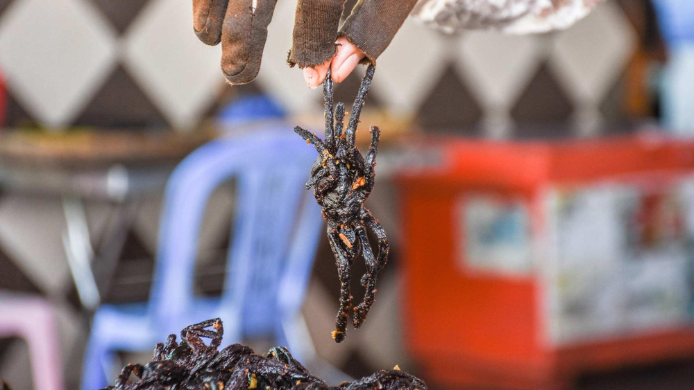 A-Ping - đặc sản trứ danh của Campuchia khiến nhiều du khách vừa nhìn liền muốn bỏ chạy - Ảnh 6. A-Ping - đặc sản trứ danh của Campuchia khiến nhiều du khách vừa nhìn liền muốn bỏ chạy - Ảnh 6.