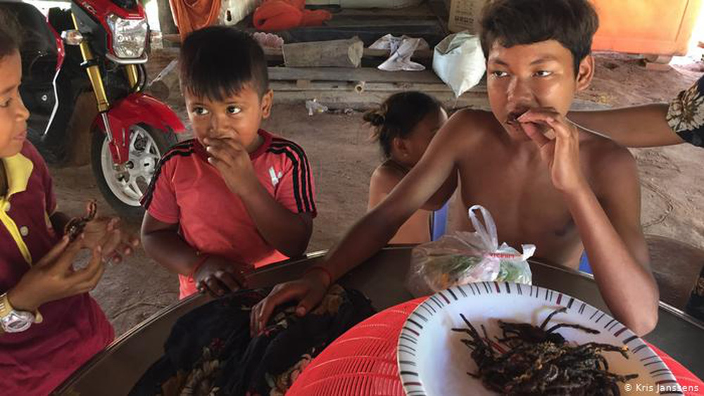 A-Ping - đặc sản trứ danh của Campuchia khiến nhiều du khách vừa nhìn liền muốn bỏ chạy - Ảnh 8. A-Ping - đặc sản trứ danh của Campuchia khiến nhiều du khách vừa nhìn liền muốn bỏ chạy - Ảnh 8.