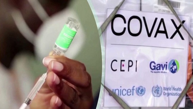 COVAX đã phân phối hơn 500 triệu liều vaccine COVID-19 - Ảnh 1.