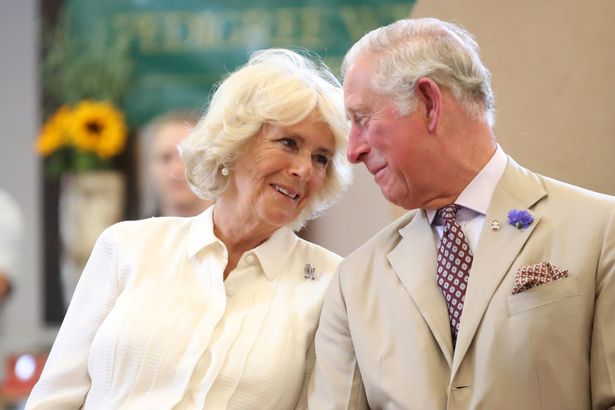 Công nương Diana qua đời vẫn khiến tình địch Camilla sợ hãi, kẻ thứ 3 khó có thể trở thành Hoàng hậu là vì đâu? - Ảnh 4.