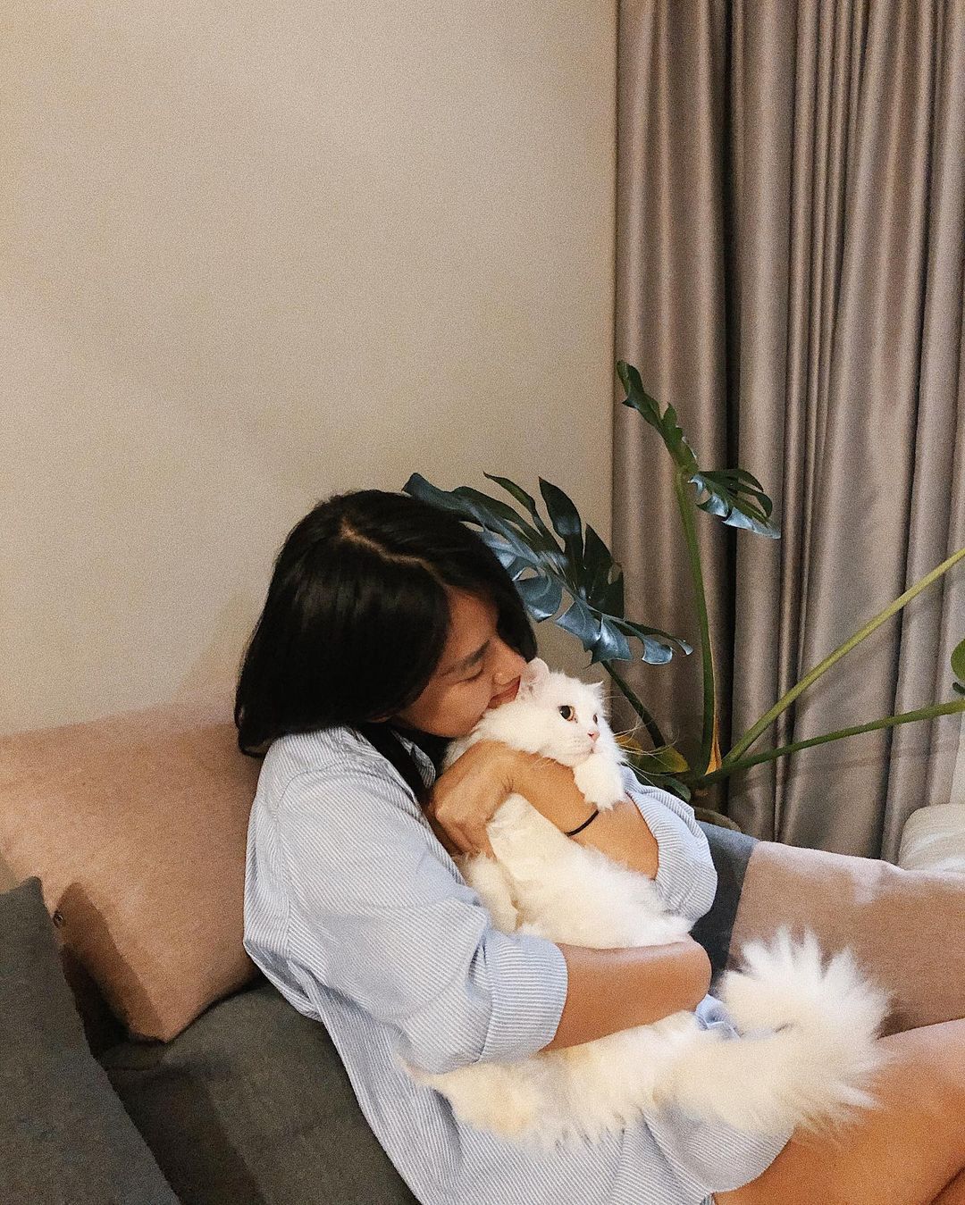 Từ tranh chấp của Sam với BQL đòi lục nhà truy chó mèo, đây là bài học cho những ai có định nuôi thú cưng ở chung cư - Ảnh 7.