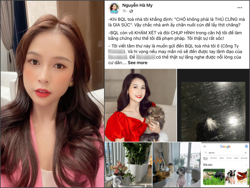Từ tranh chấp của Sam với BQL đòi lục nhà truy chó mèo, đây là bài học cho những ai có định nuôi thú cưng ở chung cư - Ảnh 1. Từ tranh chấp của Sam với BQL đòi lục nhà truy chó mèo, đây là bài học cho những ai có định nuôi thú cưng ở chung cư - Ảnh 1.