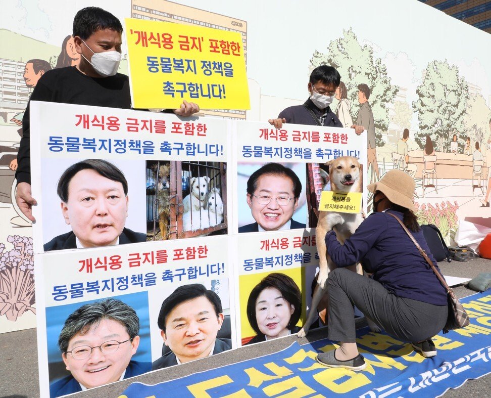 Ứng viên Tổng thống Hàn Quốc gây tranh cãi mạnh vì nuôi 4 con cún mà vẫn bảo vệ chuyện ăn thịt chó - Ảnh 2.