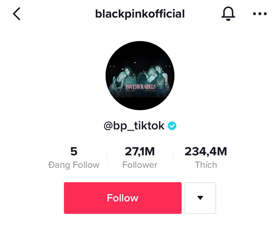 Top 5 nhóm nhạc Kpop sở hữu lượng follower khủng nhất trên TikTok, BLACKPINK chỉ đứng thứ 2, vậy top 1 là ai? - Ảnh 3.