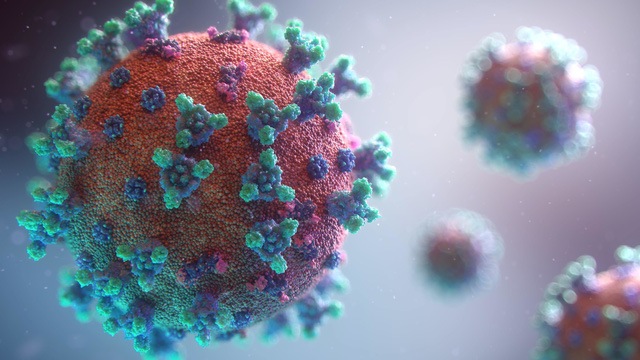 Nguy&ecirc;n nh&acirc;n đằng sau sự suy yếu của virus SARS-CoV-2 tại Nhật Bản - Ảnh 6.