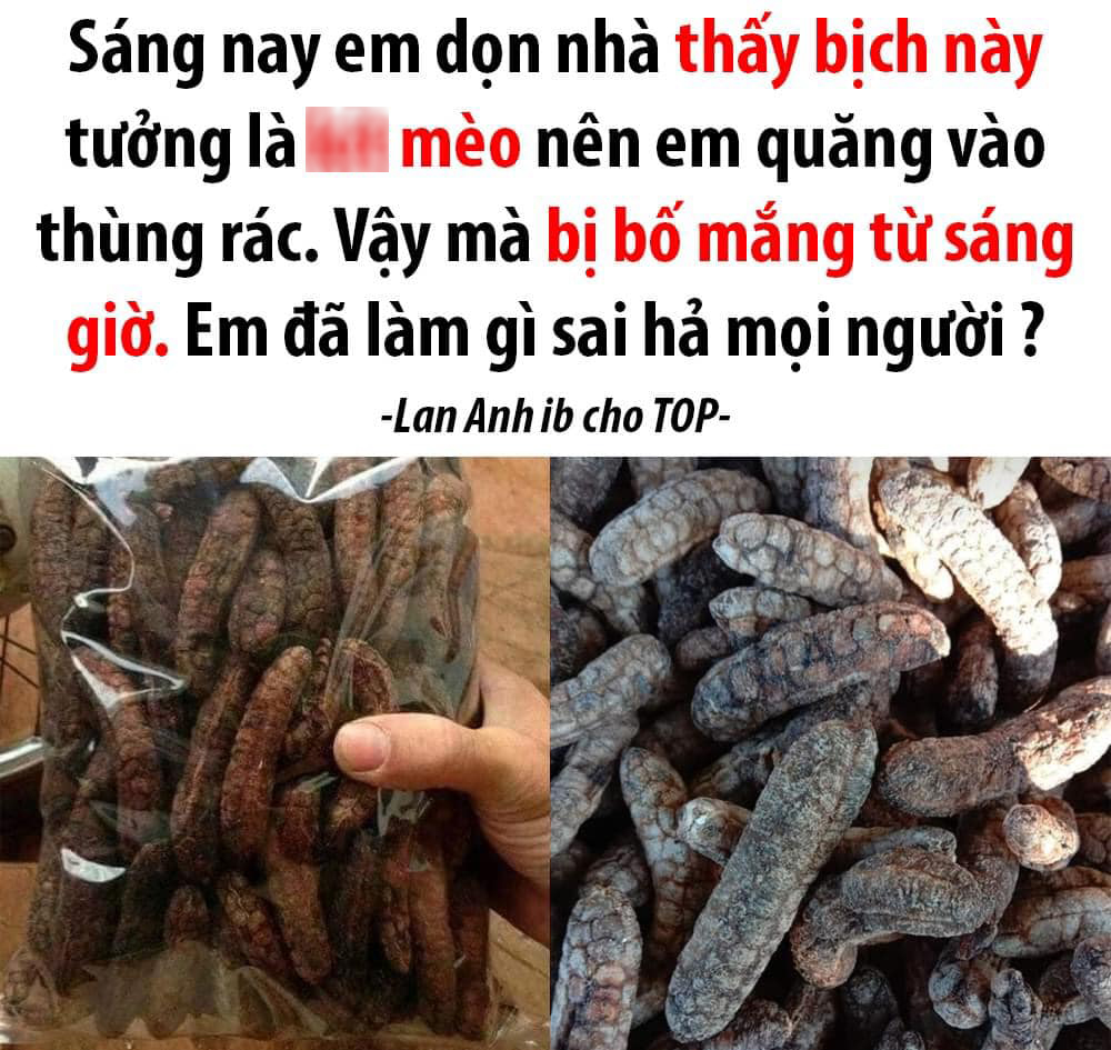 Cô gái bị bố mắng té tát vì lỡ tay vứt đặc sản quý vào sọt rác, biết được công dụng thực sự dân mạng mới vỡ lẽ - Ảnh 1.