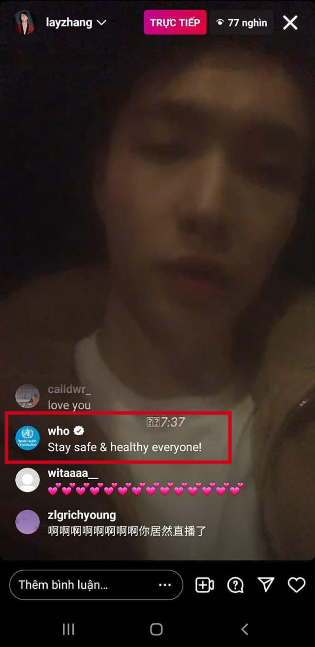 Tài khoản Instagram WHO comment dạo trong livestream của một nam idol Kpop, chuyện gì đang xảy ra? - Ảnh 2.