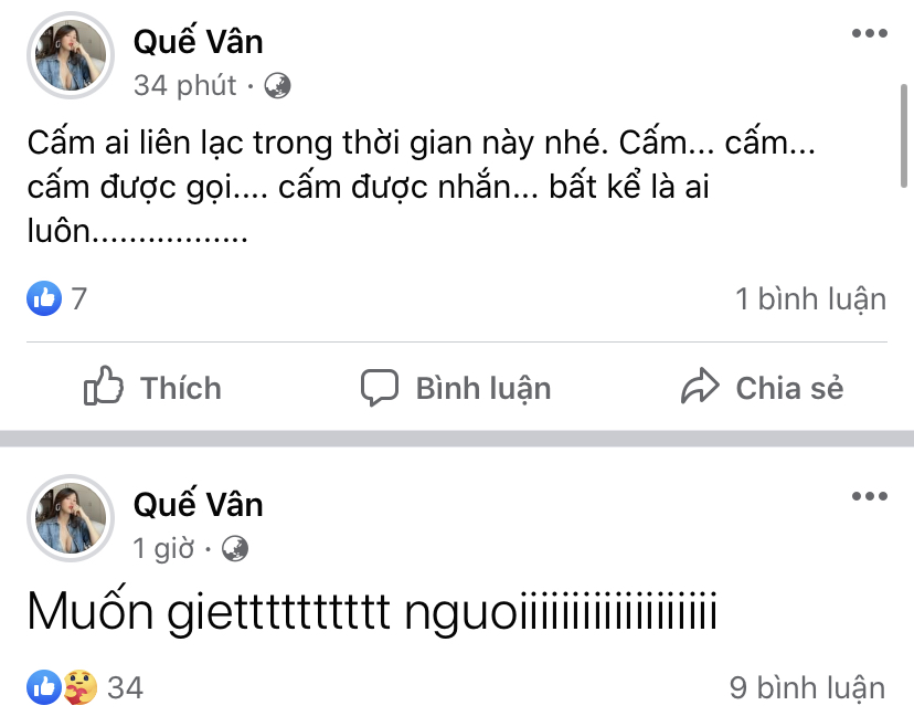 Quế Vân gây hoang mang tột độ với status muốn ôm con nhảy cầu, ẩn ý bị ai đó lợi dụng cùng loạt động thái tiêu cực - Ảnh 2.