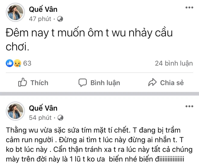 Quế Vân gây hoang mang tột độ với status muốn ôm con nhảy cầu, ẩn ý bị ai đó lợi dụng cùng loạt động thái tiêu cực - Ảnh 3.