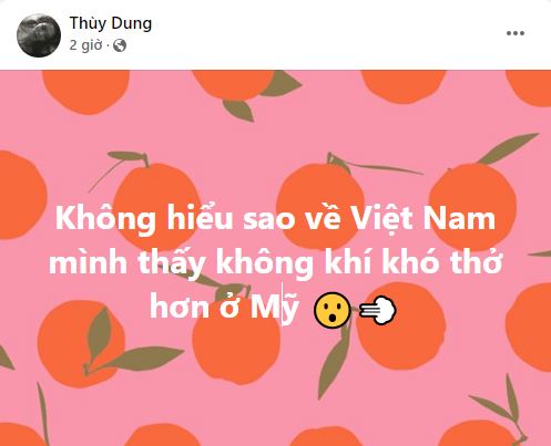 Bị netizen chỉ trích vì phát ngôn nhạy cảm, Hoa hậu Thuỳ Dung có động thái gì? - Ảnh 2.