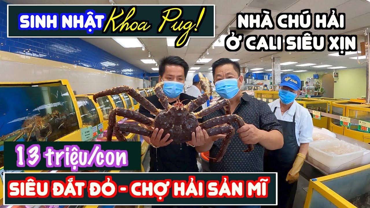 Khoa Pug giàu cỡ nào mới dư tiền để hùn mua máy bay riêng 115 tỷ đồng? - Ảnh 19.