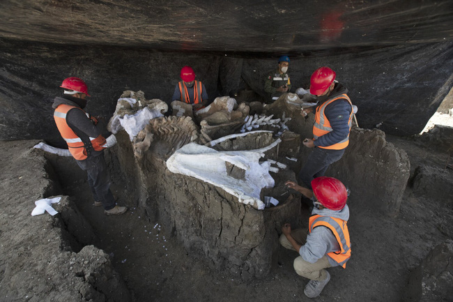 Đào mộ chôn xác người chết, nhân viên nghĩa trang phát hiện dấu hiệu lạ mở ra một bí mật khổng lồ chôn vùi 10.000 năm - Ảnh 3.