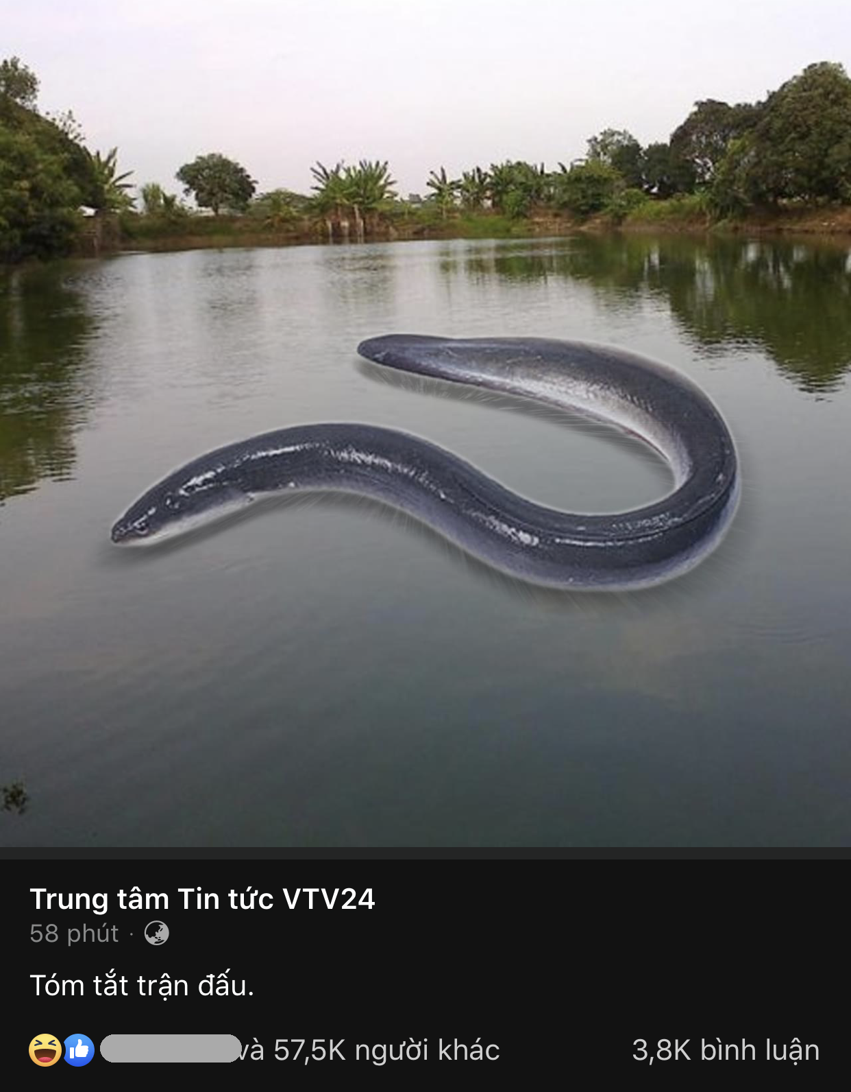 Giải mã bức ảnh tóm tắt trận đấu Việt Nam - Malaysia của VTV24: Mặn thật sự! - Ảnh 2. Giải mã bức ảnh tóm tắt trận đấu Việt Nam - Malaysia của VTV24: Mặn thật sự! - Ảnh 2.