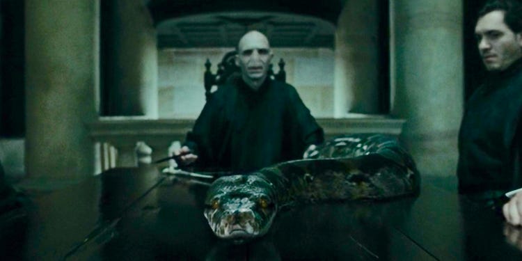 Sốc óc: Danh tính thật sự của rắn Nagini trong Harry Potter đã bị spoil từ đầu qua 1 chi tiết lớn, ai cũng thấy nhưng chẳng nhận ra? - Ảnh 1. Sốc óc: Danh tính thật sự của rắn Nagini trong Harry Potter đã bị spoil từ đầu qua 1 chi tiết lớn, ai cũng thấy nhưng chẳng nhận ra? - Ảnh 1.