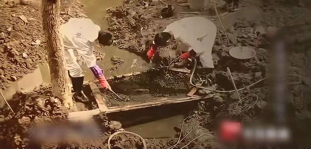 Chứng kiến kẻ bu&ocirc;n người s&aacute;t hại mẹ d&atilde; man, 2 anh em bị bắt c&oacute;c thất lạc gần 3 thập kỷ, nhưng c&aacute;i kết khi đo&agrave;n tụ lại khiến ai nấy x&oacute;t xa - Ảnh 4.