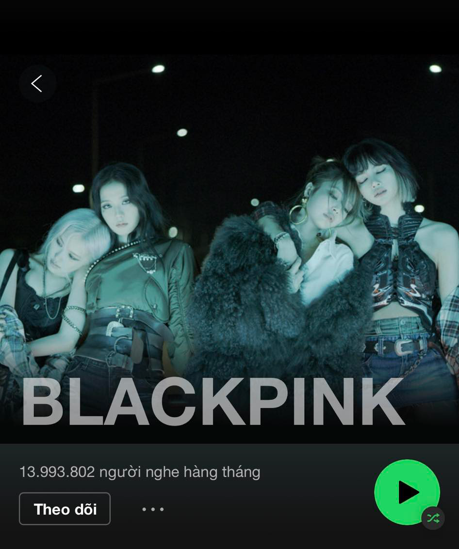 BLACKPINK cán mốc 27 triệu follower trên Spotify nhưng chỉ xếp thứ 2, vẫn phải đứng sau nhóm nhạc này! - Ảnh 2.