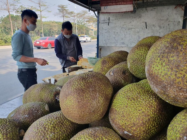 Mít quay đầu từ Lạng Sơn xuất hiện trên nhiều tuyến phố Hà Nội - Ảnh 6.