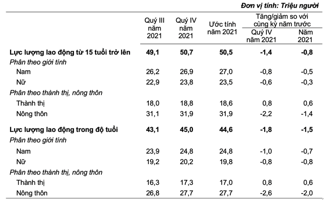 Biến động thu nhập lao động Việt Nam năm 2021: Bình quân quý 4 đạt 6,1 triệu đồng/tháng, vậy cả năm tăng hay giảm? - Ảnh 2.