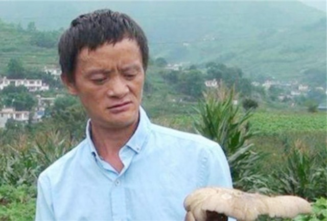 Jack Ma bán nấm nổi tiếng một thời: Kiếm bộn tiền nhờ ngoại hình giống tỷ phú nhưng chớp mắt quay lại vạch xuất phát vì một lý do - Ảnh 1.