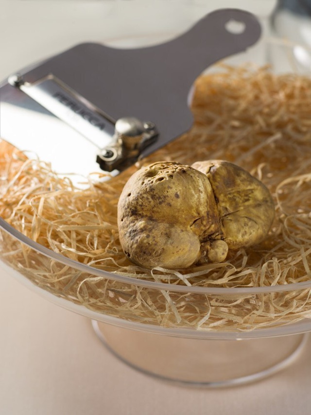 Lý do nào khiến nấm truffle siêu đắt đỏ, hầu như chỉ dành cho giới thượng lưu? - Ảnh 4.