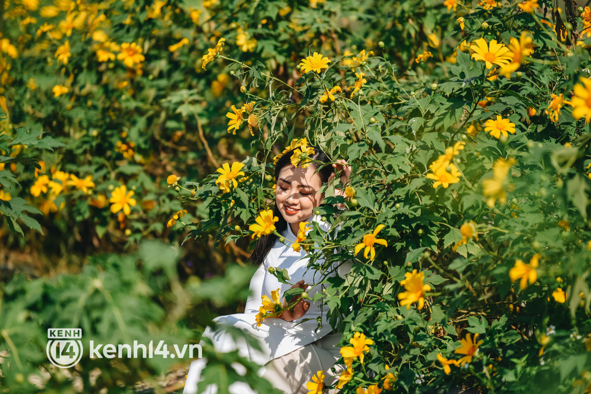 Ảnh: Điểm danh những vườn hoa hot nhất Hà Nội đang được giới trẻ rần rần kéo đến check in - Ảnh 4.