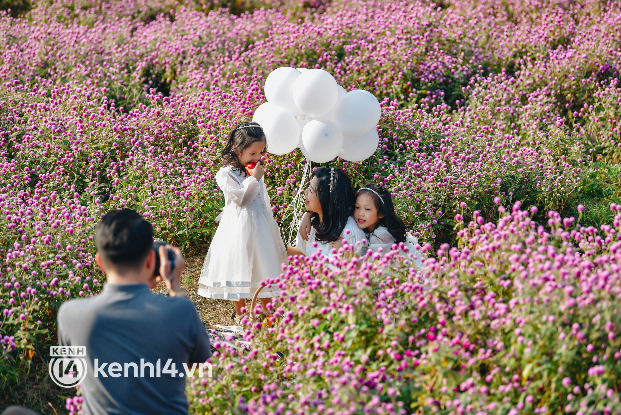 Ảnh: Điểm danh những vườn hoa hot nhất Hà Nội đang được giới trẻ rần rần kéo đến check in - Ảnh 14.