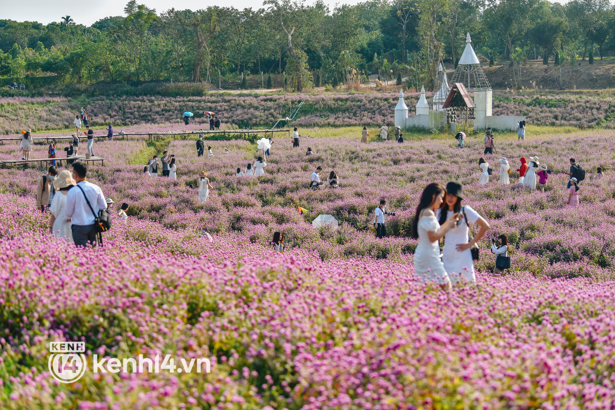 Ảnh: Điểm danh những vườn hoa hot nhất Hà Nội đang được giới trẻ rần rần kéo đến check in - Ảnh 11.