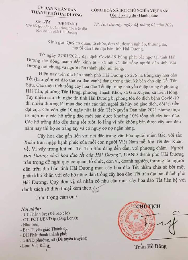 Hải Dương kêu gọi người mua đào Tết hỗ trợ nông dân bị ảnh hưởng bởi dịch Covid-19 - Ảnh 2.