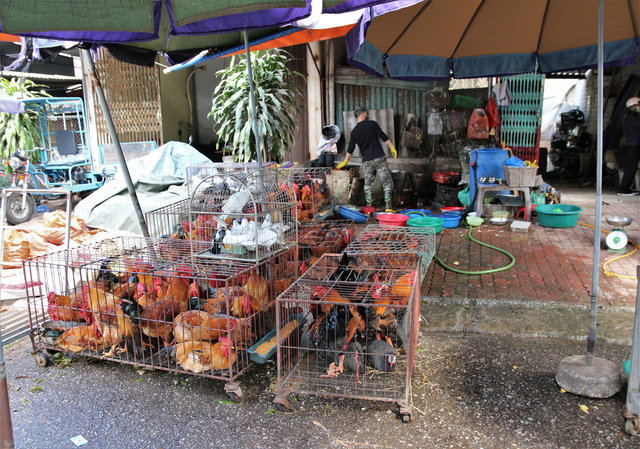 Xu&acirc;n đ&atilde; về ở t&acirc;m dịch Ch&iacute; Linh - Ảnh 5.