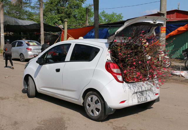 Xu&acirc;n đ&atilde; về ở t&acirc;m dịch Ch&iacute; Linh - Ảnh 10.