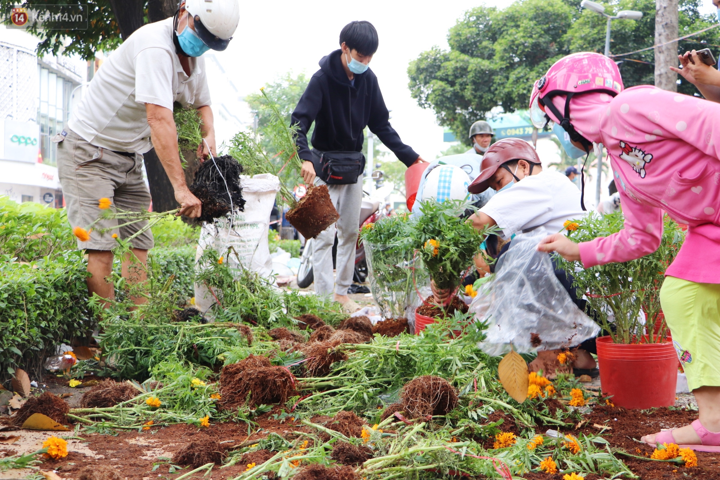 Photo: After the Saigon merchant threw away the dead flowers, many people took advantage of them to ask for land and collect flowers to bring them at noon 30 Tet - Photo 5.