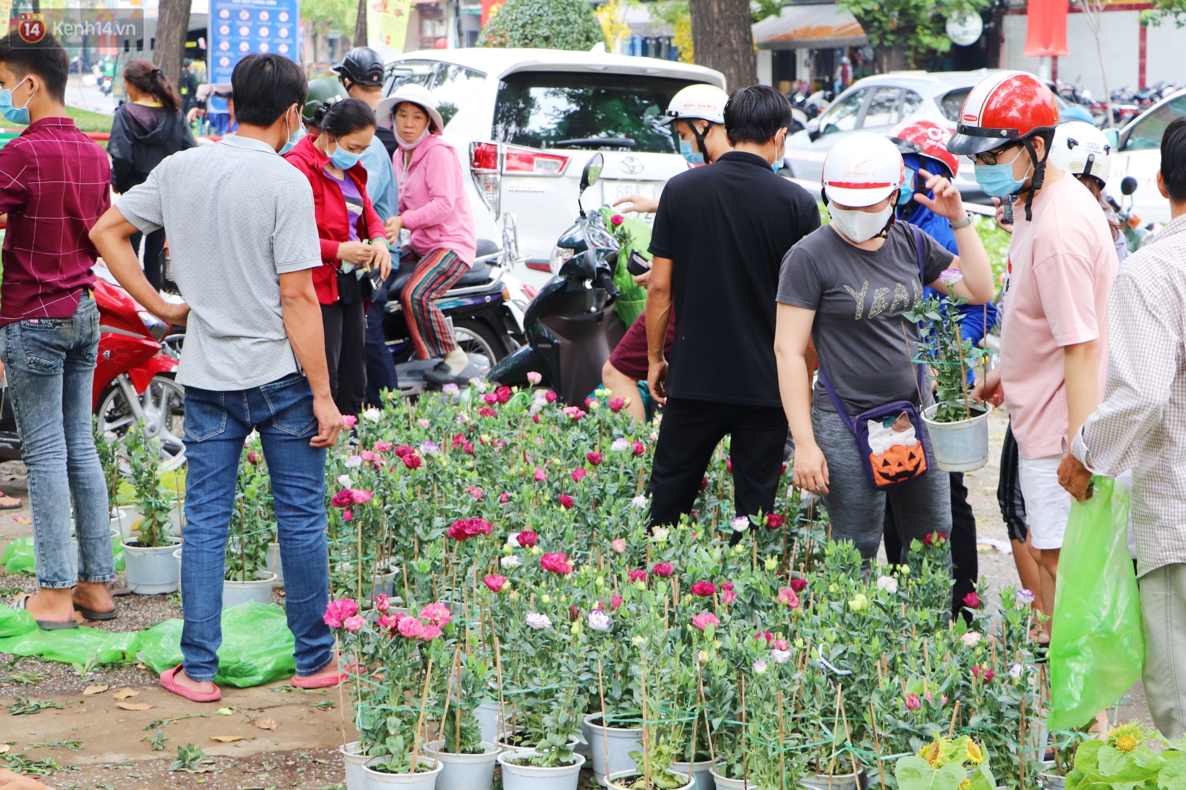 Photo: After the Saigon merchant threw away the dead flowers, many people took advantage of them to ask for land and collect flowers to take home at noon 30 Tet - Photo 1.