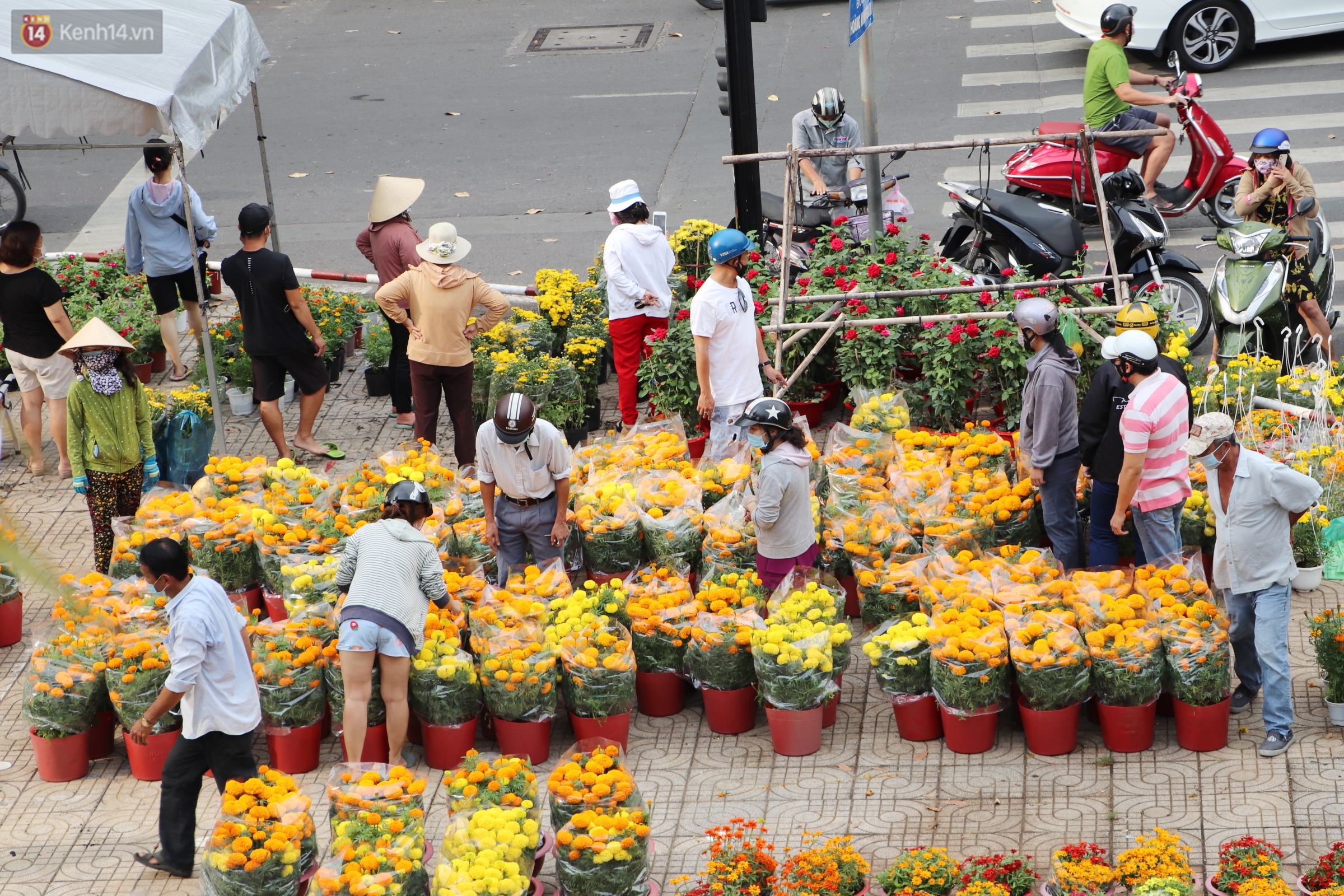 Photo: After the Saigon merchant threw away the dead flowers, many people took advantage of them to ask for land and collect flowers and bring them at noon 30 Tet - Photo 7.