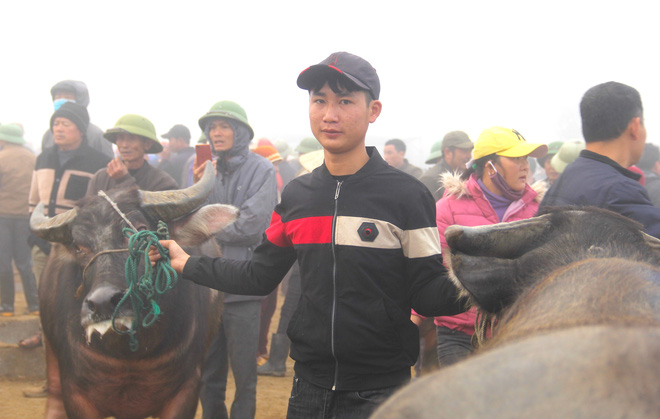 Năm Sửu gh&eacute; chợ tr&acirc;u, b&ograve; lớn nhất v&ugrave;ng Bắc Trung Bộ, mỗi phi&ecirc;n giao dịch cả ngh&igrave;n con - Ảnh 4.