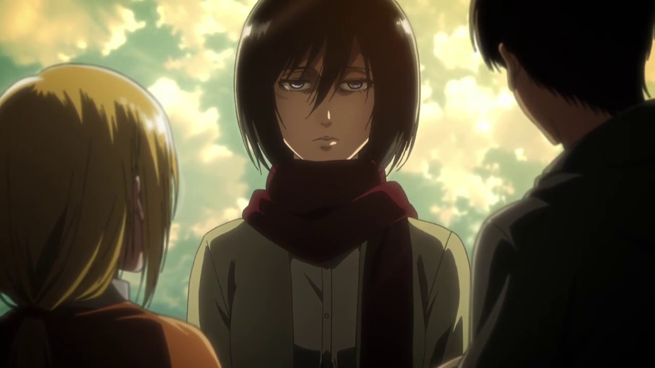 6 mỹ nữ khiến cả triệu fanboy mê tít ở Attack on Titan: Chị đại Mikasa mãi crush nam chính, số 4 bị hỏi cưới không ngớt! - Ảnh 4.