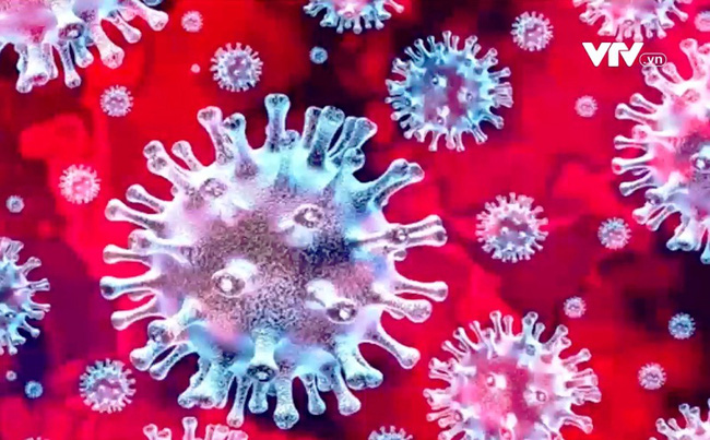 Mỗi ca bệnh COVID-19 đều ẩn chứa cơ hội để virus biến chủng ngẫu nhi&ecirc;n - Ảnh 1.