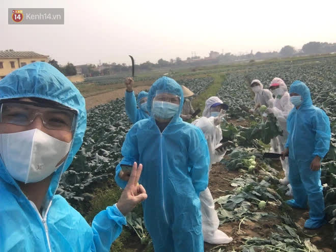 Chuyện người Hà Nội giải cứu hàng chục tấn nông sản: Hàng bán được, bà con Hải Dương mừng lắm - Ảnh 1. Chuyện người Hà Nội giải cứu hàng chục tấn nông sản: Hàng bán được, bà con Hải Dương mừng lắm - Ảnh 1.