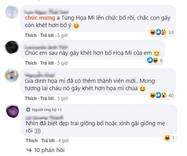 Tùng Họa Mi khoe tin vui đã có Họa Mi con, cộng đồng Liên Quân cà khịa không ngừng nghỉ - Ảnh 4.