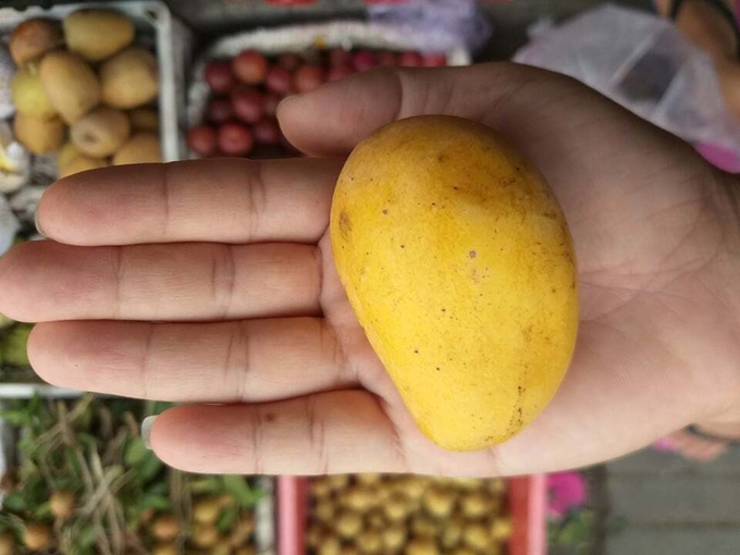 C&ocirc; g&aacute;i khoe loại xo&agrave;i t&iacute; hon chỉ d&agrave;i hơn 1cm ở Việt Nam khiến d&acirc;n t&igrave;nh sửng sốt: Hoa quả cũng &ldquo;gi&agrave; trước tuổi&rdquo; &agrave;? - Ảnh 3.