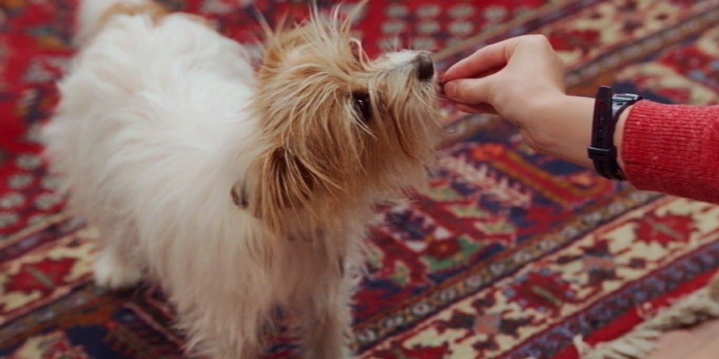 Lý giải loạt tình tiết sốc óc ở WandaVision tập 5: Wanda phá cửa đi cướp xác chồng, nhân vật chấn động cuối phim xuất hiện ra sao? - Ảnh 6. Lý giải loạt tình tiết sốc óc ở WandaVision tập 5: Wanda phá cửa đi cướp xác chồng, nhân vật chấn động cuối phim xuất hiện ra sao? - Ảnh 6.